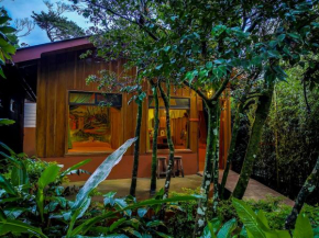 Отель Monteverde Villa Lodge  Монте Верде